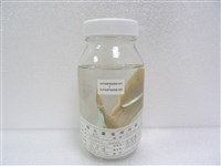 鯰魚藏品圖，第2張